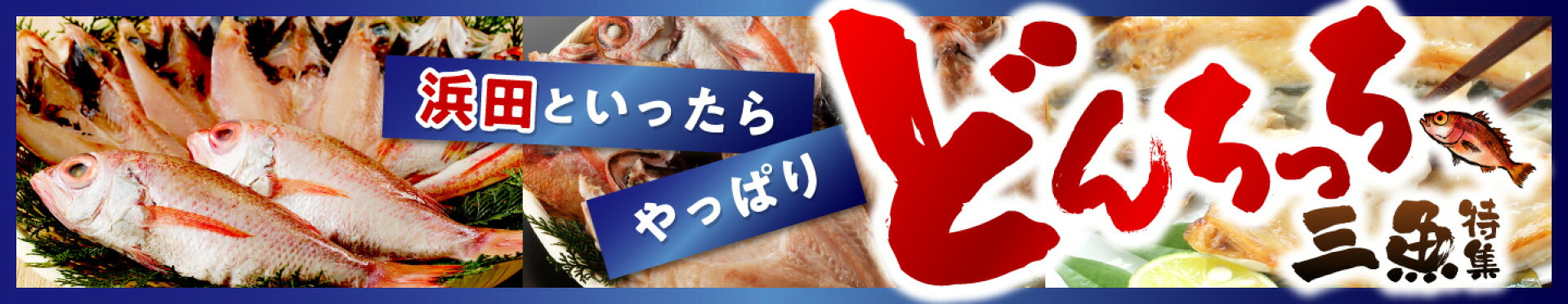 どんちっち三魚特集
