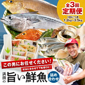 【ふるさと納税】【レビューCP対象】【総合評価4.70獲得！鮮魚屋にお任せ！大満足の定期便】【定期便】 この男の目利き！〜浜田の旨い鮮魚3回お届けコース〜 定期便 セット 3回 海鮮セット 海鮮 鮮魚 セット 下処理済み 楽天市場 おすすめ 返礼品 お取り寄せ 【006_0011】