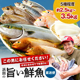 【ふるさと納税】【レビューCP対象】この男に任せてみませんか〜浜田の旨い鮮魚直送便〜 海鮮 鮮魚 詰め合わせ セット おまかせ 人気 お取り寄せ 【006_2043】