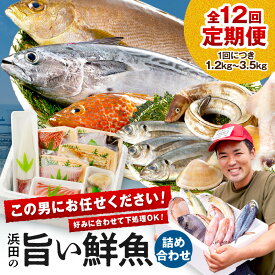 【ふるさと納税】【レビューCP対象】【定期便】この男、極める！〜浜田の旨い鮮魚12か月毎月お届けコース〜 ふるさと納税 定期便 鮮魚 魚介類 魚貝類 お楽しみ定期便 ふるさと納税 定期便 海鮮 【006_0543】