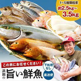 【ふるさと納税】この男に任せてみませんか〜浜田の旨い鮮魚直送便（下処理なし） 約500g～2kg 約2.5kg～3.5kg 選べる 内容量 海鮮 鮮魚 詰め合わせ セット おまかせ お手頃 お試し便 旬 直送便 人気 お取り寄せ