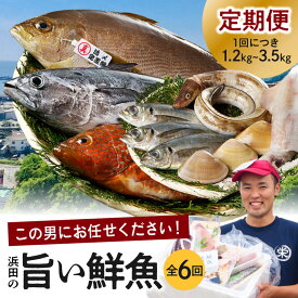 【ふるさと納税】【レビューCP対象】この男魅せる！～浜田の旨い鮮魚6回お届けコース～ プレミアム 鮮魚 定期便 6回 セット 詰め合わせ お取り寄せ 旬 【1703】