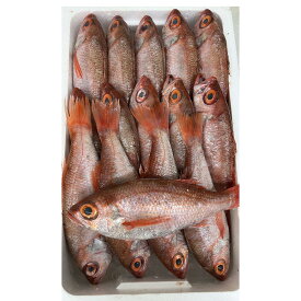 【ふるさと納税】山陰浜田港水揚げ 幻の高級魚のどぐろ（鮮魚）ひと箱 【006_2049】