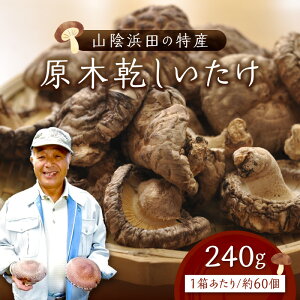 �y�ӂ邳�Ɣ[�Łz���؊��������� ������������ �ő� ���� ���� ������������ ���̂� ���؍͔| ���ؒő� ���؂������� ������������ �y010_1944�z