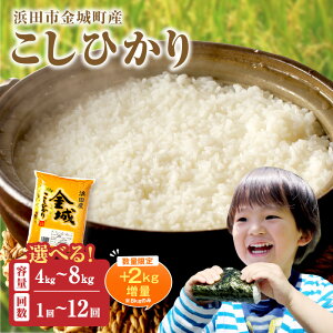 yӂ邳Ɣ[ŁzyizyNzzyߘa7NYzyʌzyցzlcs钬YuЂvy4kg`10kg/1`12z Iׂ  Ђ  Y  