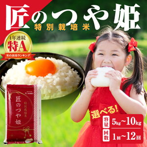 yӂ邳Ɣ[Łzyߘa6NYzyցzʍ͔|āûPv y5kg 6kg 10kg/1`12z Iׂ    Y      ͂  R V   A u