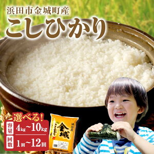 yӂ邳Ɣ[Łzyߘa7NYzyVĐs\zyʌzyցzlcs钬YuЂvy5kg`10kg/1`12z2025N10Jn Iׂ  Ђ  