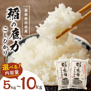 【ふるさと納税】【令和7年産】浜田産「稲の底力こしひかり」【5kg 10kg】 選べる お米 お取り寄せ 特産 精米 白米 ごはん ご飯 コメ 新生活 応援 準備 ふるさと納税 米
