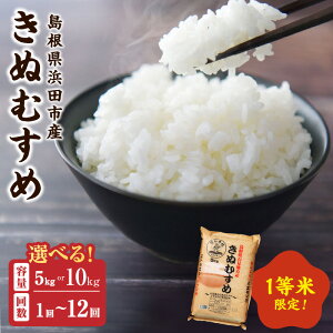 �y�ӂ邳�Ɣ[�Łz�y�ߘa7�N�Y�z�l�c�s�Y���ʂނ��߁y5kg 10kg/1�� 6�� 12��z �I�ׂ� ����� ���� ������ ���Y ���� ���� ���͂� ���� �R�� �V���� ���� ���� �ӂ邳�Ɣ[�� ����