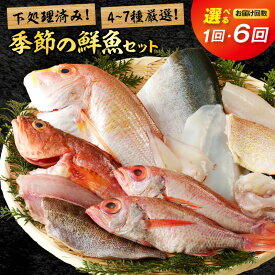 【ふるさと納税】山陰浜田港水揚げ　季節の鮮魚セット【1回 年6回（奇数月）】 選べる 回数 鮮魚 お任せ お取り寄せ 魚介 鮮魚 セット 下処理済み ふるさと納税 定期便 海鮮