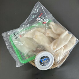 【ふるさと納税】【イカ好き必見！】浜田名物イカ三昧セット（干物・塩辛・いかめし） 【025_0439】