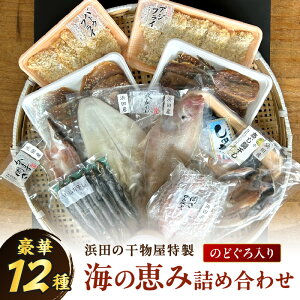 【ふるさと納税】【豪華12種】浜田の干物屋特製・海の恵み詰め合わせセット(のどぐろ入り) 【025_0442 】