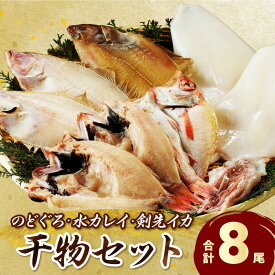 【ふるさと納税】 山陰浜田港水揚げされた人気干物セット 魚介 魚 セット 加工品 干物 のどぐろ アカムツ 水カレイ イカ 剣先イカ 魚介類 魚貝類 干もの 一夜干し ふるさと納税 魚 セット 【025_0437】