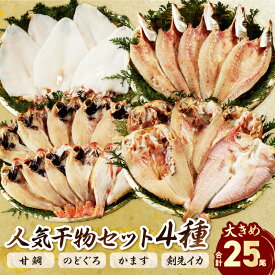 【ふるさと納税】山陰浜田港 水揚げされた大きめ人気干物セット 小分け 個包装 魚介類 魚貝類 魚介 魚 干物 干もの 一夜干し 干物セット セット 加工品 【025_0426】