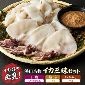 【ふるさと納税】【イカ好き必見！】浜田名物イカ三昧セット（干物・塩辛・いかめし） 【025_0439】