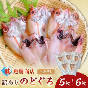 yӂ邳Ɣ[Łzyr[CPΏہzy󂠂z ̂ǂ銱i5`6j  銱  󂠂 y136_1982z