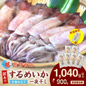 yӂ邳Ɣ[ŁzyNzzyizyr[CPΏہzy󂠂z߂銱 i6`7j+1@v1,040gȏ   ߂ 銱 Hi ܂ 󂠂 ӂ