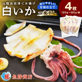 【ふるさと納税】【山陰浜田港・水揚げ】 白いか一夜干し（4枚） 魚介類 魚貝類 干物 干もの 一夜干し 白いか 特産品 つまみ 加工品 【136_1996】