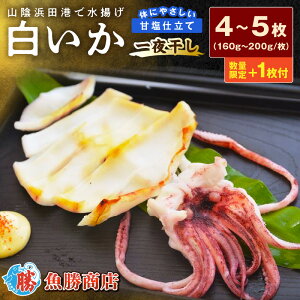 yӂ邳Ɣ[ŁzyNzzyiz傫ȁu銱i4`5jv+1  銱   銱 Mtg VN I CN Zbg   y136_2006z