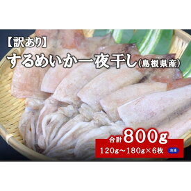 【ふるさと納税】【訳あり】 するめいか一夜干し（120g〜180gx6枚） 魚介類 いか するめいか 一夜干し 加工品 おつまみ 訳あり ふるさと納税 するめいか 【1837】