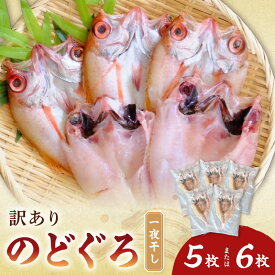 【ふるさと納税】【レビューCP対象】【訳あり】　のどぐろ一夜干し（5～6枚） 干物 一夜干し 乾物 訳あり 【136_1856】