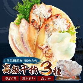 【ふるさと納税】山陰浜田港あけぼの丸ののどぐろ・笹かれい・白いか高級3種セット 魚介類 魚貝類 干物 干もの 一夜干し 干物セット ギフト 海鮮 厳選 個包装【146_1490】