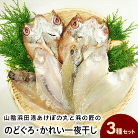 【ふるさと納税】山陰浜田港あけぼの丸と浜の匠ののどぐろ・かれい一夜干しセット 魚介類 魚貝類 魚 干物 干もの 一夜干し 干物セット のどぐろ カレイ セット 詰め合わせ 【146_2042】