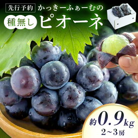 【ふるさと納税】【先行予約】種無しピオーネ 約0.9kg 2～3房《8月下旬頃から発送》 果物 ピオーネ ぶどう 先行予約 期間限定 数量限定 【183_1883】