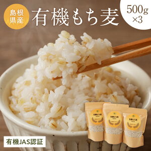 yӂ邳Ɣ[Łzyr[CPΏہzL@JASF Y L@ 500g×3 1.5kg Y  1.5L Yi Hi y149_1419z