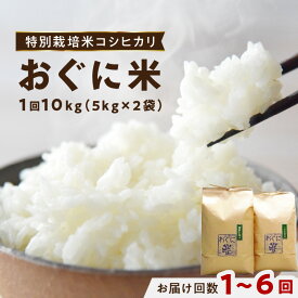 【ふるさと納税】【令和5年産】浜田市金城町産の美味しいコシヒカリ100％【おぐに米】【10kg/ 1回 6回】米 おこめ コシヒカリ 白米 精米 特産品 ごはん お取り寄せ 小分け 選べる 定期便