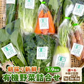 【ふるさと納税】朝採り新鮮！有機野菜セット詰合せ（7〜9種類）【1回 3回 6回】選べる 回数 定期便 採れたて 産地直送 葉物 有機JAS認証 野菜セット セット 詰め合わせ 旬の野菜 旬 季節 ふるさと納税 野菜