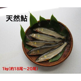 【ふるさと納税】【先行予約】八戸川　天然鮎（1kg)＜2025年6月10日よりお届け＞ 魚介 魚貝類 鮎 天然鮎 あゆ 天然 冷凍 先行予約 【192_2000】