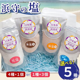 【ふるさと納税】浜守の塩セット【 塩4種 塩 荒塩 藻塩(雪) 藻塩(荒) 】選べる 種類 浜田市 塩 ミネラル 調味料 3個 セット 4種セット 天然塩 ふるさと納税