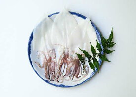 【ふるさと納税】山陰浜田極味 シロイカ（ケンサキイカ）一夜干し3枚入り 【164_1825】