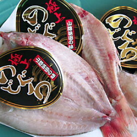 楽天市場 のどぐろ 干物 浜田市の通販