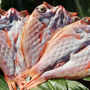 yӂ邳Ɣ[ŁzRAlc`Îǂ늱i2`3 v300gOĵǂ{̎|ɏoӐg̊ ͖슣X  L ̂ǂ   銱 lC O 