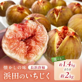 【ふるさと納税】【先行予約】浜田のいちじく懐かしの味！長浜唐柿（蓬莱柿）生食用 8月下旬から発送 【約1.4kg 約2kg】 選べる 内容量 ふるさと納税 果物 いちじく フルーツ