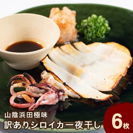 【ふるさと納税】山陰浜田極味 訳あり シロイカ（ケンサキイカ）一夜干し 6枚 一夜干し 干物 ひもの いか 剣先いか 真いか 白いか 真空 冷凍 干物 【164_1835】