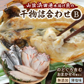 【ふるさと納税】浜田港水揚げ魚の無添加薄塩味干物B（のどぐろを含む） 魚介類 魚貝類 無添加 薄塩味 干物 干もの 一夜干し セット 人気 お取り寄せ 【964】