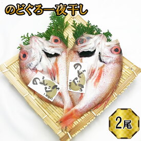 【ふるさと納税】のどぐろ　一夜干し2尾セット | ギフト お中元 お歳暮 父の日 母の日 包装 のし 対応可 お取り寄せグルメ