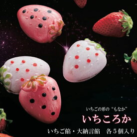 【ふるさと納税】もなか　いちころか　10個入り 苺 最中 お取り寄せ グルメ お菓子 和菓子 国産 ギフト 贈答 プレゼント 詰め合わせ セット 人気 おすすめ 島根県 出雲市