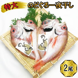【ふるさと納税】特大 のどぐろ　一夜干し2尾セット | ギフト お中元 お歳暮 父の日 母の日 包装 のし 対応可 お取り寄せグルメ