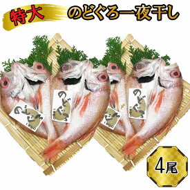 【ふるさと納税】特大 のどぐろ　一夜干し2尾×2箱セット | ギフト お中元 お歳暮 父の日 母の日 包装 のし 対応可 お取り寄せグルメ