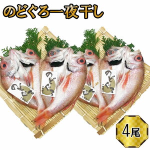 yӂ邳Ɣ[Łẑǂ@銱2Zbg×2Zbg | Mtg  Ε ̓ ̓  ̂ Ή 񂹃O