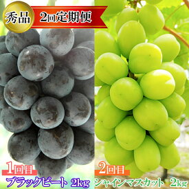 【ふるさと納税】【2026年8月中旬以降発送】【2回定期便】【農家直送】厳選シャインマスカットとブラックビートの定期便 | 2種のぶどうを食べ比べ！ブラックビートとシャインマスカットをお届けします