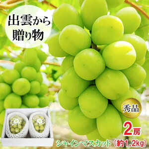 yӂ邳Ɣ[Łz[_ƒ]IVC}XJbg1.2kg[c_] | ǂ ʎ ̓̂ɔ VN o_ VC}XJbg c_
