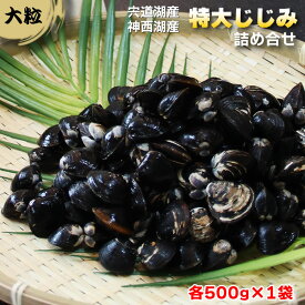 【ふるさと納税】厳選特大しじみ詰め合わせ | しじみ 宍道湖＆神西湖 食べ比べ 特大サイズ 小分け 砂抜き済 貝 詰め合わせ お取り寄せ グルメ 栄養満点 島根県 出雲市