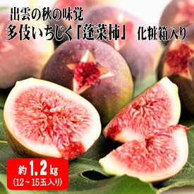 【ふるさと納税】出雲の秋の味覚多伎いちじく「蓬莱柿」1.2kg 化粧箱入り ギフト 贈り物 多伎町 特産 朝採 厳選 最上級品 12玉～15玉