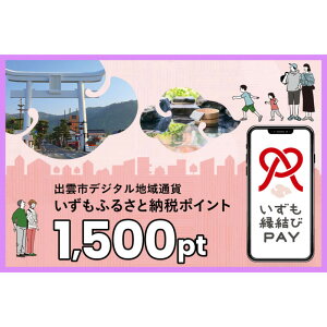 yӂ邳Ɣ[Łzo_s fW^nʉ݁uPAYv ӂ邳Ɣ[Ń|Cg1,500pti1pt1~jy1,500~ dq LbVX H h ̌ dq}l[  o_s