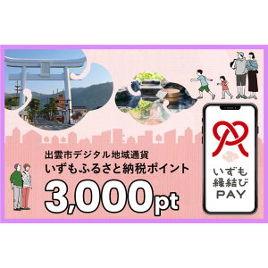 yӂ邳Ɣ[Łzo_s fW^nʉ݁uPAYv ӂ邳Ɣ[Ń|Cg3,000pti1pt1~jy3,000~ dq LbVX H h ̌ dq}l[  o_s